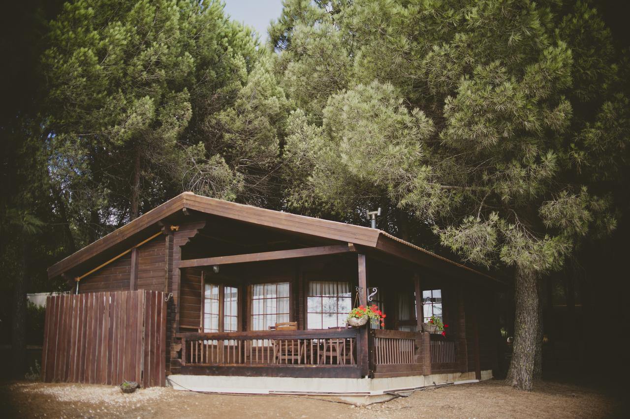 Kibbutz Ortal Tourism Hotel Exterior photo